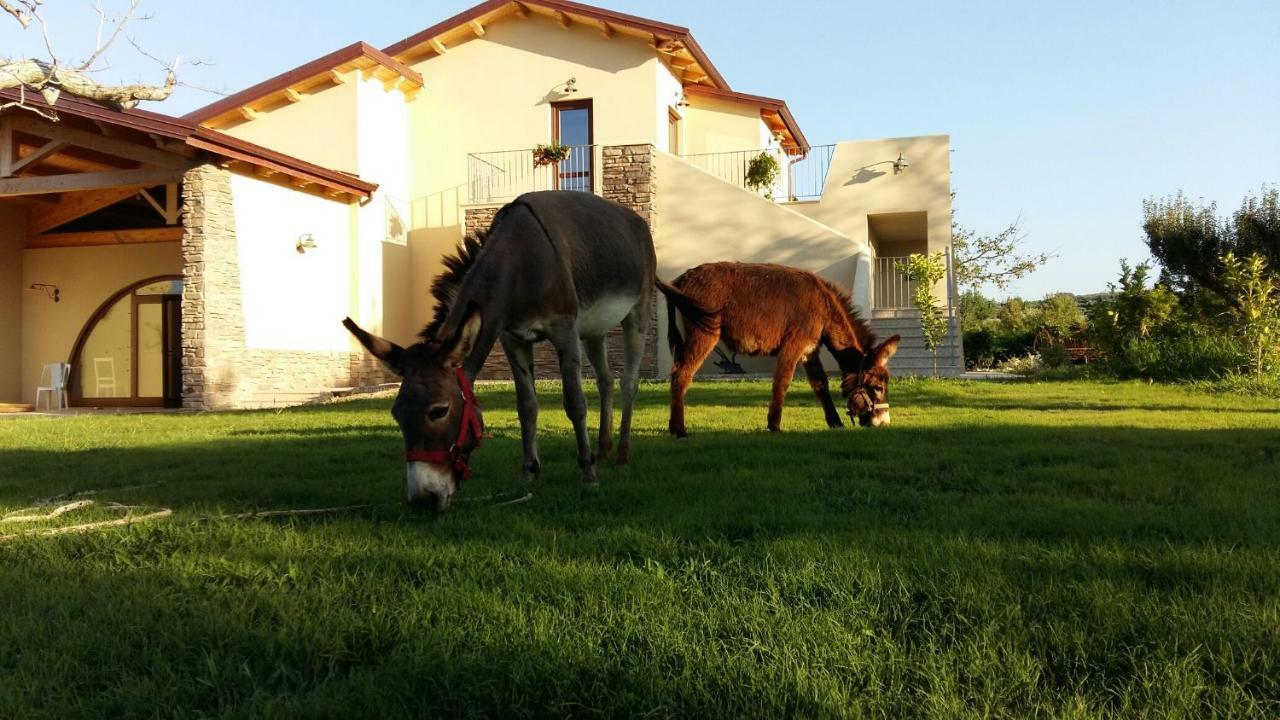 Agriturismo Frantoio Mafrica Limbadi Exterior photo